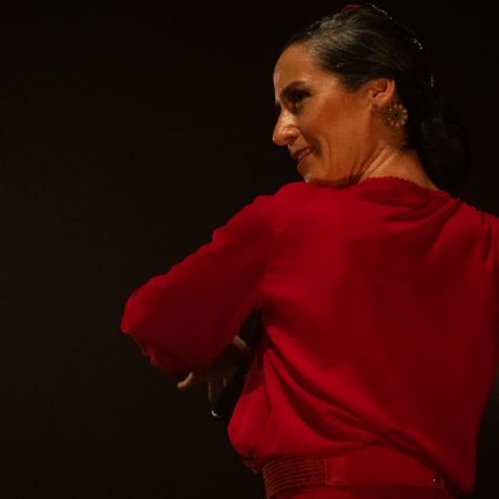 Ximena espejo flamenco campinas inmersión soniquete