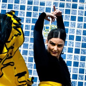 milene muñóz flamenco campinas inmersion tablao flamenca milene muñóz flamenco campinas inmersion tablao flamenca